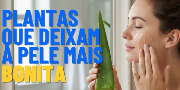 Plantas que melhoram a saúde da pele e aumentam o viço natural, deixando a aparência mais bonita sem agredir a barreira cutânea