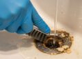 Como remover crostas de sujeira do ralo do banheiro de forma rápida, eficiente e ainda manter limpo por mais tempo