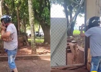 Tutor reencontra cão perdido na queima de fogos e emoção toma conta nas redes sociais