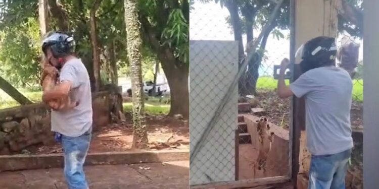 Tutor reencontra cão perdido na queima de fogos e emoção toma conta nas redes sociais