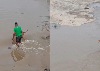 Homem enfrenta enchente para salvar cachorro caramelo e vídeo viraliza na Bahia