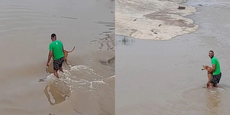 Homem enfrenta enchente para salvar cachorro caramelo e vídeo viraliza na Bahia