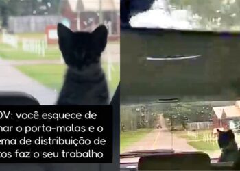 Motorista leva susto ao encontrar família escondida no carro em estrada deserta