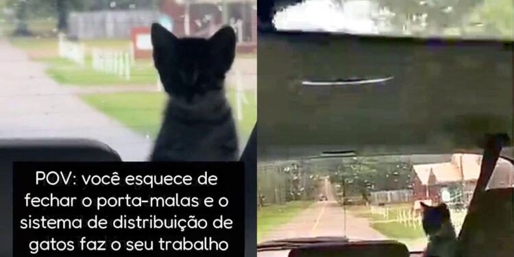 Motorista leva susto ao encontrar família escondida no carro em estrada deserta