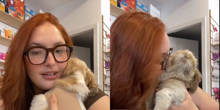 Veterinária recusa entregar cão a tutor após notar sinais de negligência grave