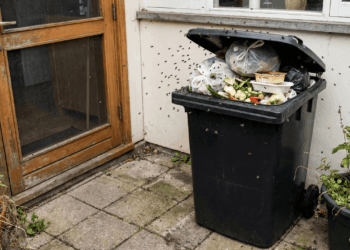 proliferação de insetos no calor