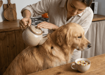 chá de camomila para eliminar carrapatos