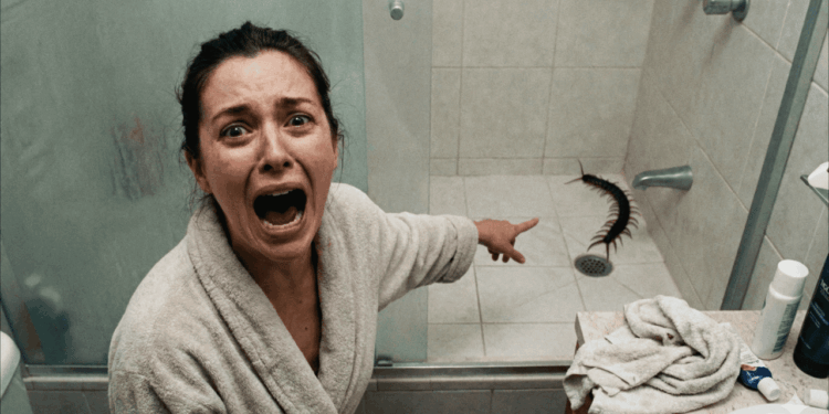 Encontrou uma lacraia no banho? Não entre em pânico e saiba como agir rápido