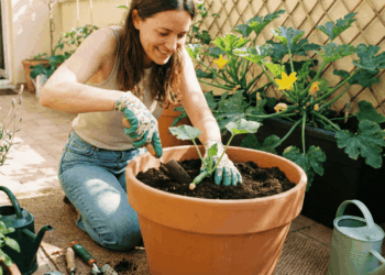 Abobrinha em vaso sem abelhas? Aprenda a polinização manual para garantir frutos