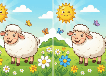 encontre o erro na imagem