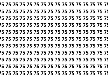 Encontre o número 57 entre vários números 75 em apenas 12 segundos neste desafio