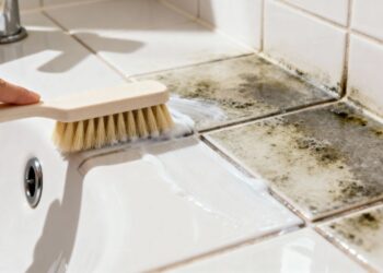 Sem cloro, nem água sanitária: a forma correta de eliminar o mofo do rejunte