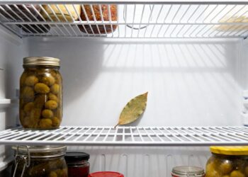 Uma folha de louro na geladeira, outra embaixo: por que algumas donas de casa fazem isso?