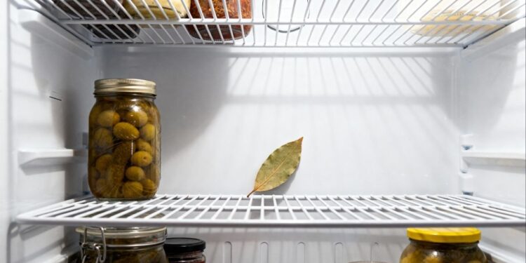 Uma folha de louro na geladeira, outra embaixo: por que algumas donas de casa fazem isso?