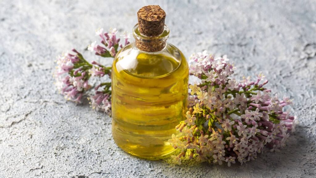 Saiba como a insônia pode ser aliviada com soluções naturais e ajustes simples antes de dormir