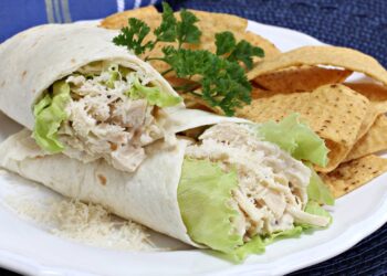 wrap de frango desfiado