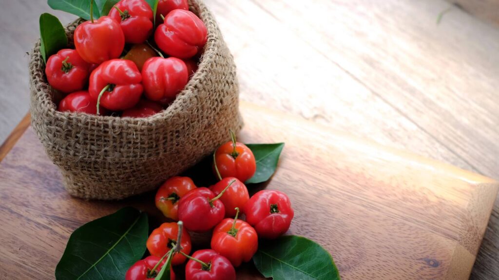 Aprenda a plantar acerola em vaso e produzir frutos o ano inteiro com cuidados simples