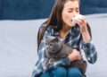 alergia a gato