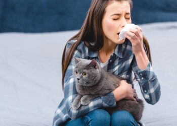 alergia a gato
