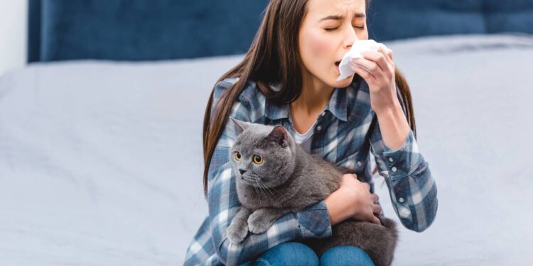 alergia a gato