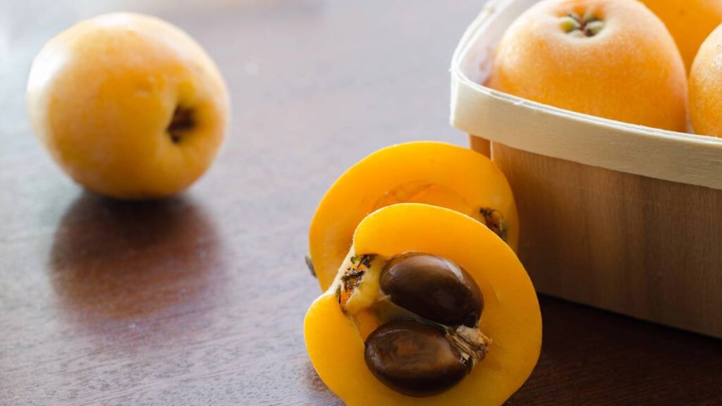 plantar ameixa nespera