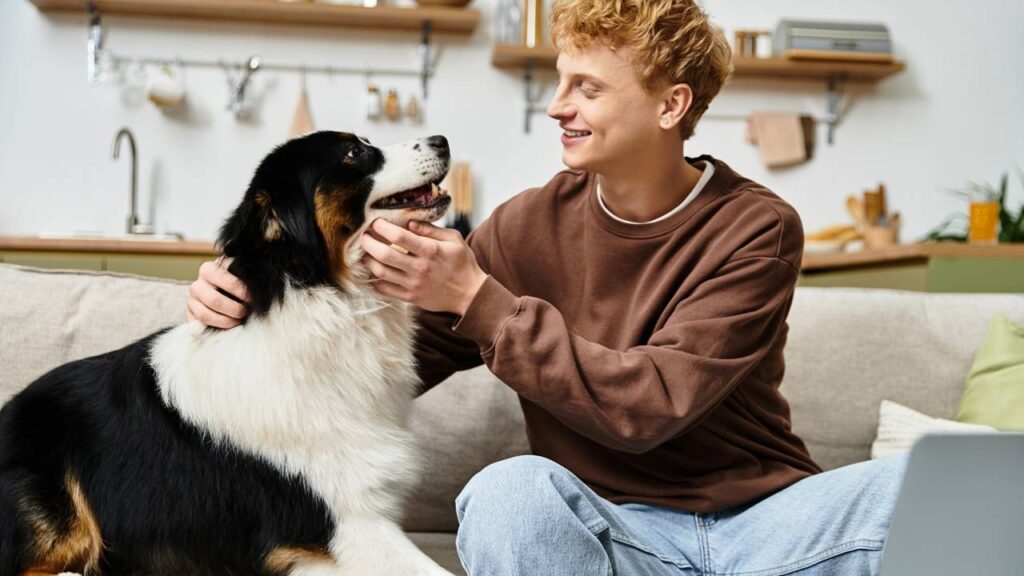 acariciar cachorro antes de sair de casa