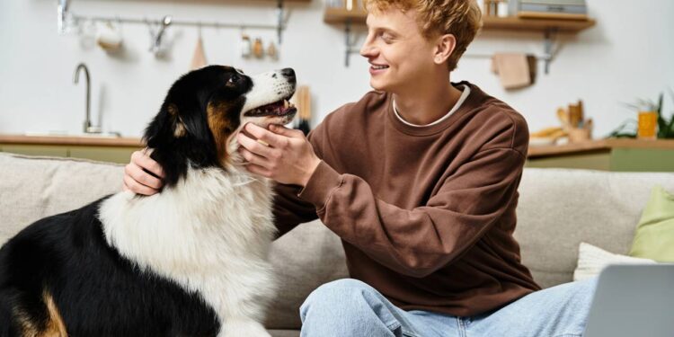 acariciar cachorro antes de sair de casa