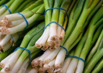 Cultivar cebolinha em vaso é simples e permite colher folhas verdes continuamente com poucos cuidados