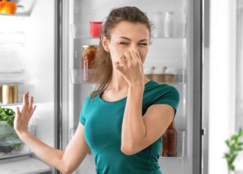 Suas frutas e verduras estragam rápido e você nem sabe o que está fazendo de errado? Saiba como evitar o desperdício