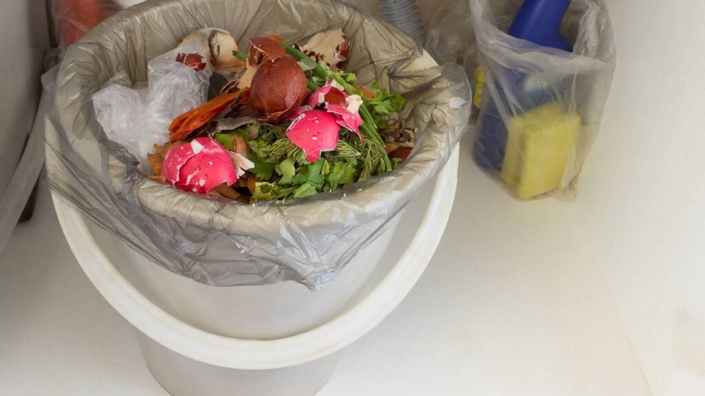 proliferação de insetos no calor