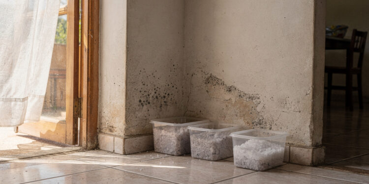 Adeus mofo em paredes e guarda-roupas: a solução barata e eficaz que acaba com o mofo nos dias úmidos do verão