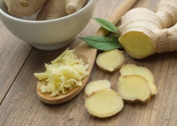 Aprenda como plantar gengibre em casa com preparo simples do solo e cuidados básicosAprenda como plantar gengibre em casa com preparo simples do solo e cuidados básicos