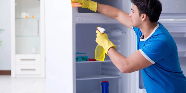 Limpar não basta: o que realmente elimina o mau cheiro da sua geladeira