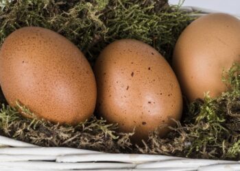 Substitutos de ovos que ajudam a adaptar receitas simples no dia a dia