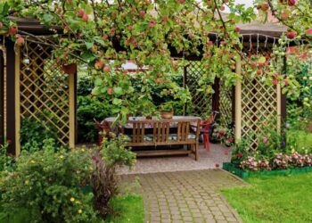 pergolado com flores