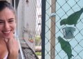 Moça transforma janela do apartamento em 'santuário de pássaros'