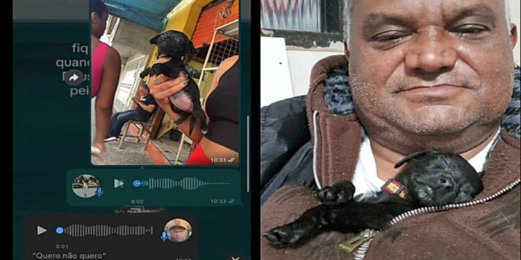 Pai diz que não queria filhotinho, mas muda de ideia em minutos