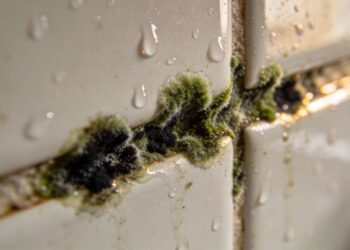 A maneira mais simples de prevenir mofo em ambientes úmidos é aplicar essa solução caseira toda semana