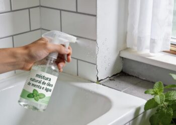 A solução mais rápida para afastar ratos da sua casa é aplicar essa mistura natural no local uma vez por semana