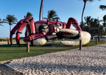 A cidade onde os brasileiros encontram o Nordeste que todo mundo busca com praias calmas e qualidade de vida de verdade
