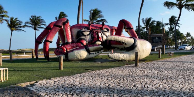 A cidade onde os brasileiros encontram o Nordeste que todo mundo busca com praias calmas e qualidade de vida de verdade