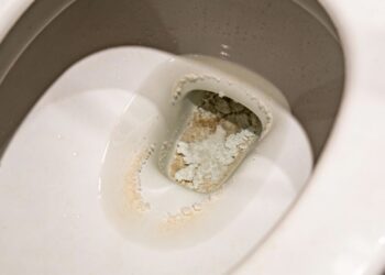Calcário persistente no vaso sanitário: o método da vovó com dois ingredientes ajuda