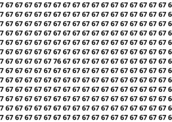 Mini-competição em família: localize o 76 camuflado entre 67