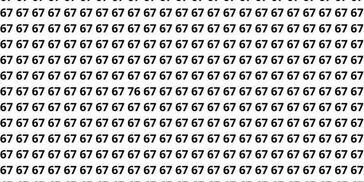 Mini-competição em família: localize o 76 camuflado entre 67