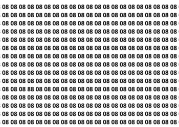 Parece fácil, mas quase ninguém encontra o 88 no tempo limite