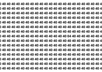 Número escondido entre 04: só os mais atentos conseguem achar o 40