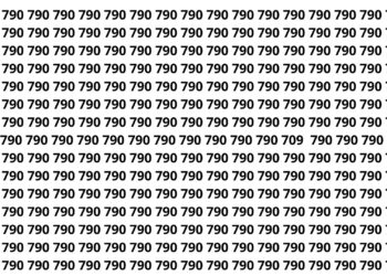 Só os mais atentos acham o 709 escondido entre tantos 790 em 15 segundos