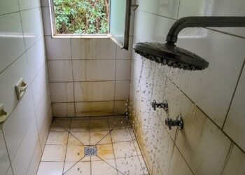 Urinar no chuveiro, saiba por que isso prejudica sua higiene e como reduzir o odor e as manchas de água no banheiro