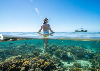 O destino nordestino que combina calor, mar azul e vida urbana vibrante