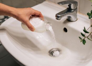 Dê adeus às baratas do ralo: a solução natural que age no encanamento sem usar inseticidas